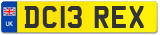 DC13 REX