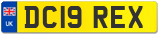 DC19 REX