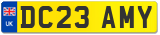 DC23 AMY