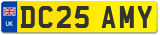 DC25 AMY