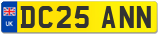 DC25 ANN