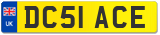 DC51 ACE