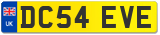 DC54 EVE