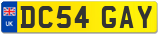 DC54 GAY