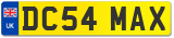 DC54 MAX