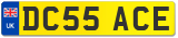 DC55 ACE