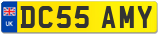 DC55 AMY