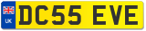 DC55 EVE