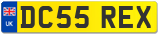 DC55 REX