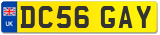 DC56 GAY