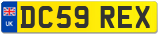 DC59 REX