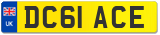 DC61 ACE