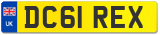 DC61 REX
