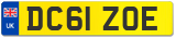 DC61 ZOE