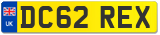 DC62 REX