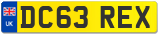 DC63 REX