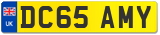 DC65 AMY