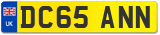 DC65 ANN