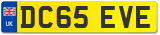DC65 EVE