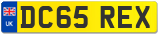 DC65 REX
