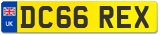 DC66 REX