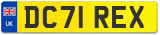 DC71 REX