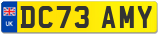 DC73 AMY