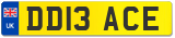 DD13 ACE