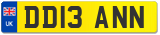 DD13 ANN