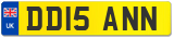 DD15 ANN