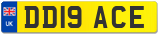 DD19 ACE