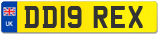 DD19 REX