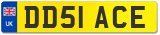 DD51 ACE