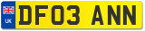 DF03 ANN