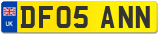 DF05 ANN