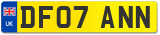 DF07 ANN