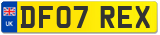 DF07 REX