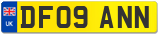 DF09 ANN