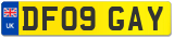 DF09 GAY