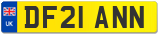 DF21 ANN