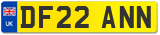 DF22 ANN