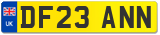 DF23 ANN