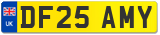 DF25 AMY