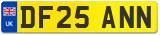 DF25 ANN