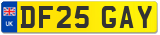 DF25 GAY