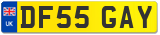 DF55 GAY