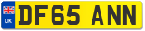 DF65 ANN