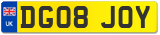 DG08 JOY