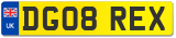 DG08 REX