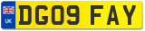 DG09 FAY